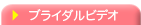�u���C�_���r�f�I